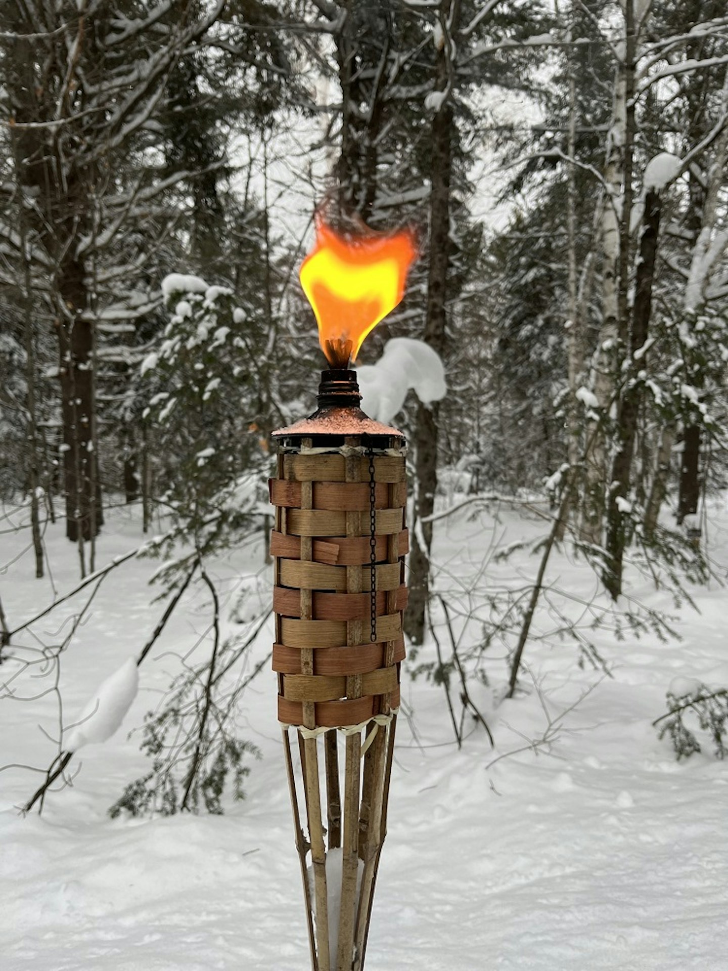 Torch on Trail