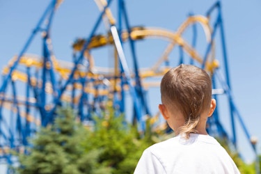 Boy Looking at Rollercoaster
