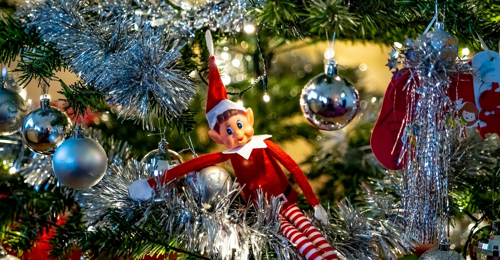 Elf in Tree