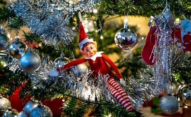 Elf in Tree