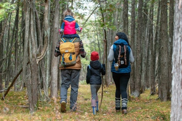 Family Fall Hike Trail