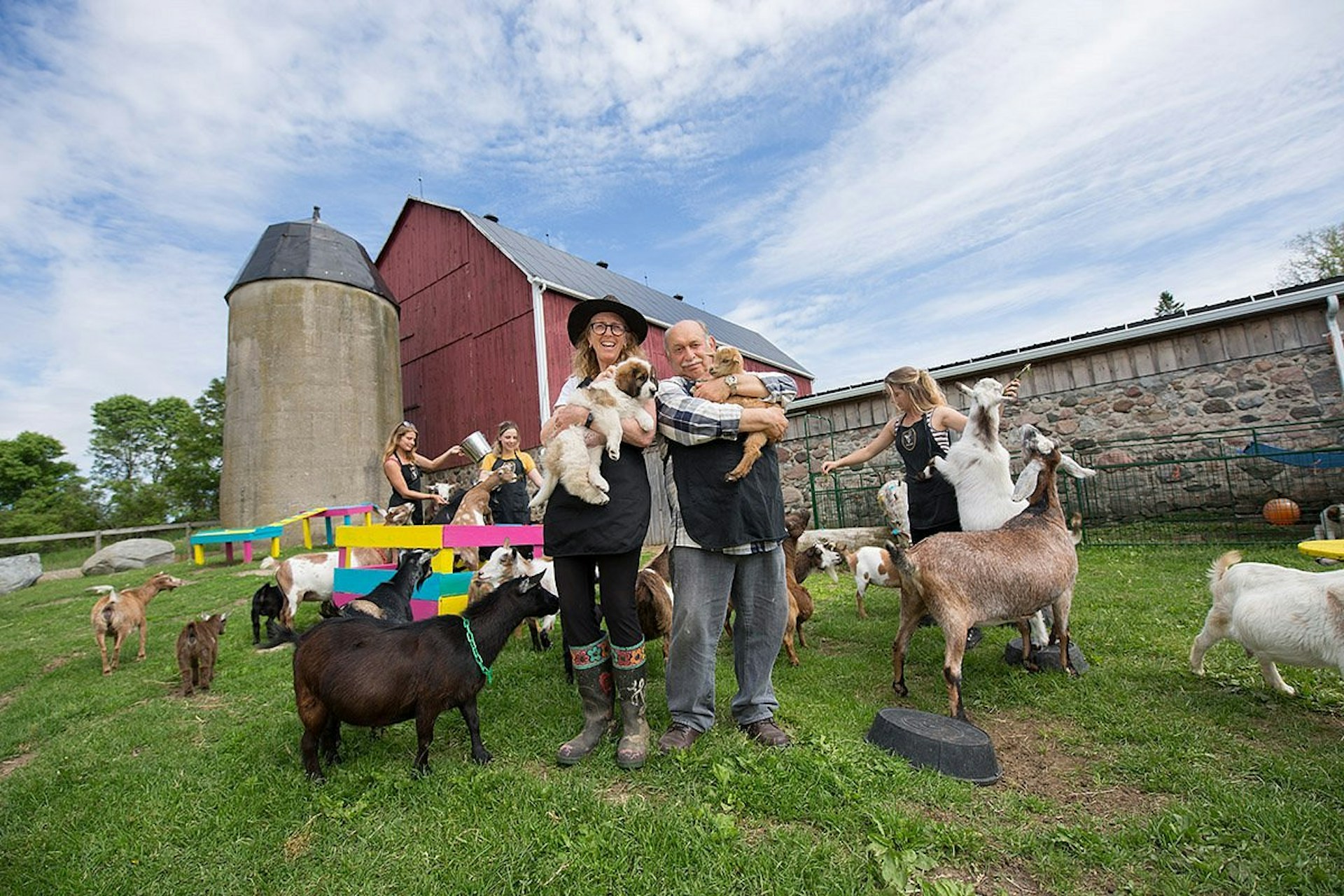 Goat Haute Farm