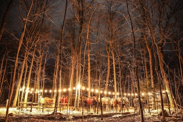 Maple Syrup By Lamplight