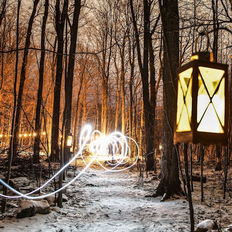 Kortright Maple Syrup Evening Tour