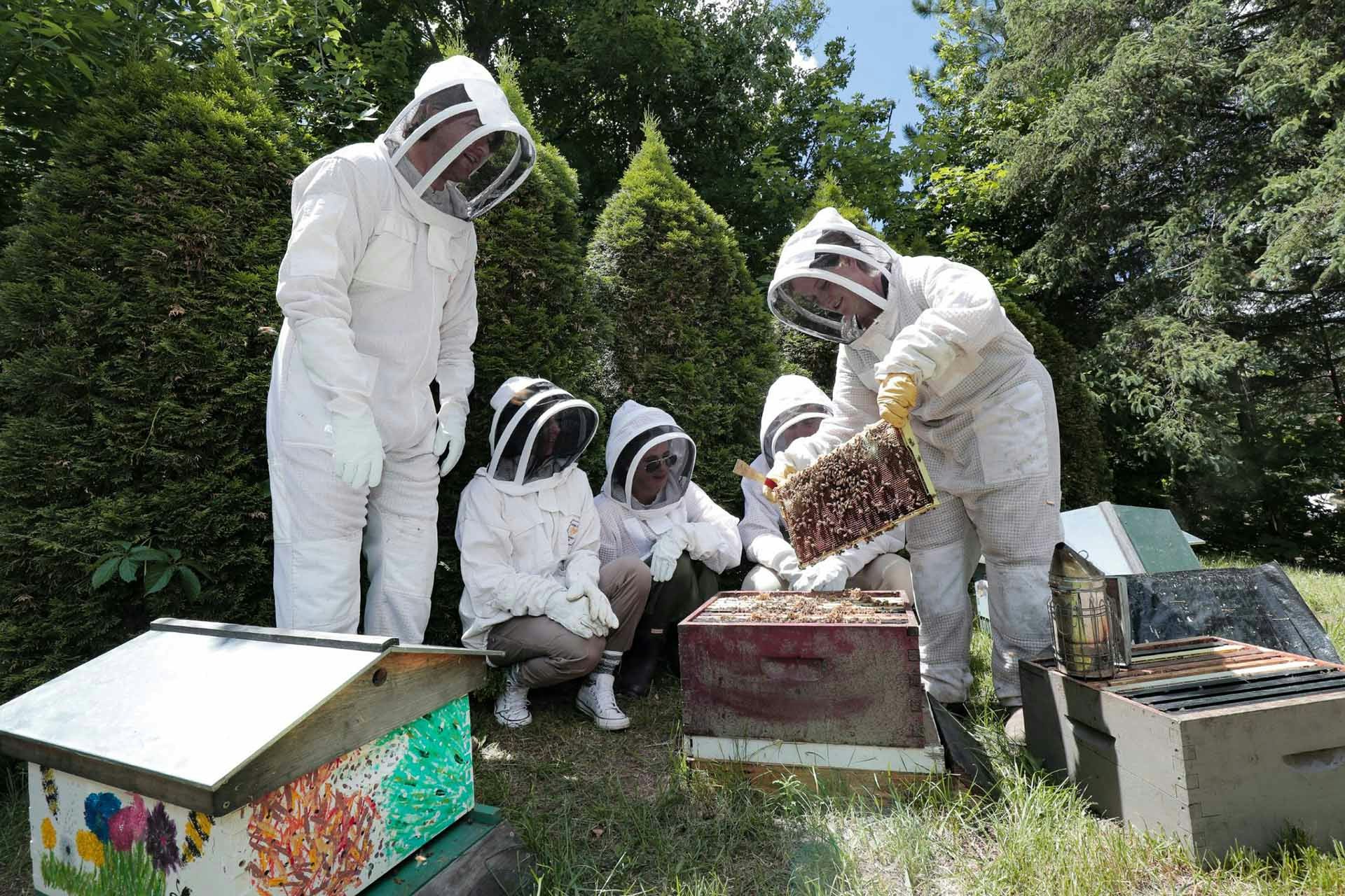Ontario Honey Creations 