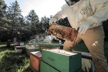 Ontario Honey Creations