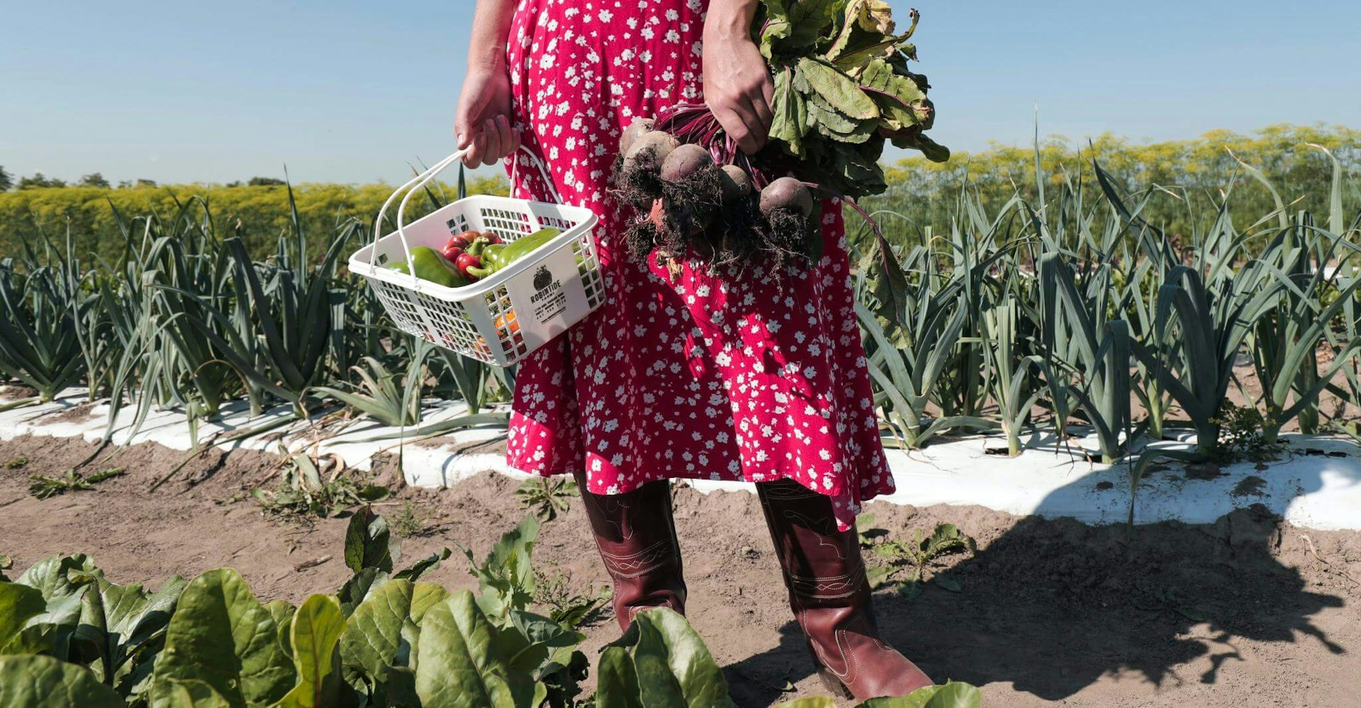 Woman with Vegetables at Farm