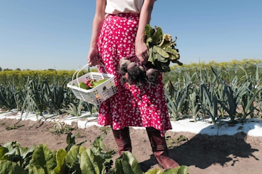 Woman with Vegetables at Farm