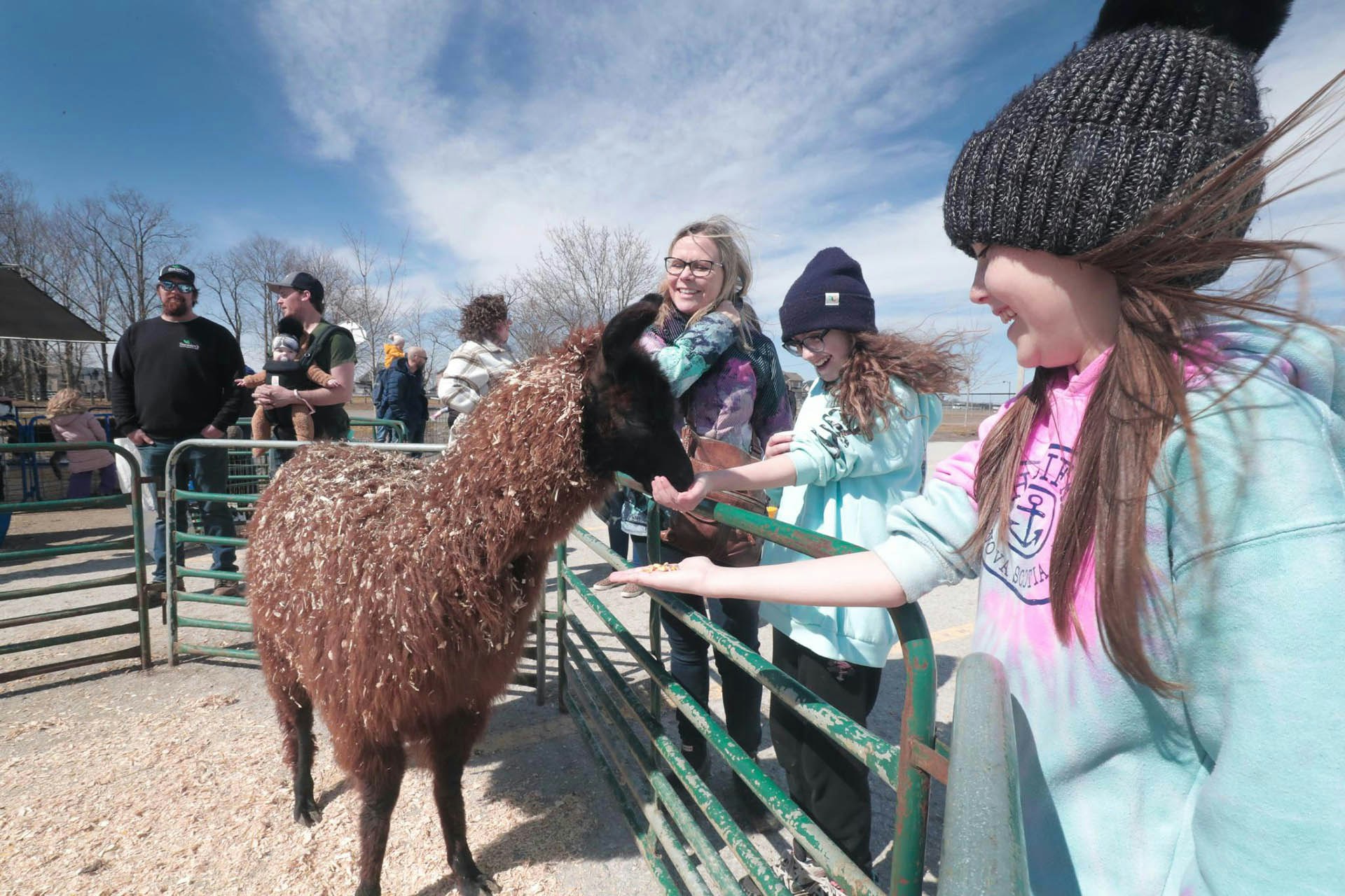 The 26th Sunderland Maple Syrup Festival is Back! York Durham Headwaters