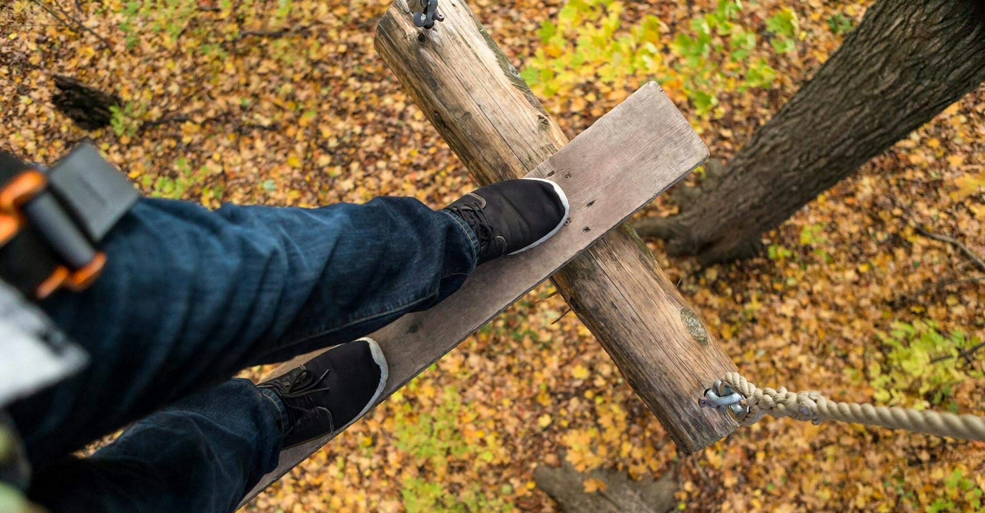 Treetop Fall