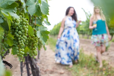 Eight Great Day Trips for Wine Lovers