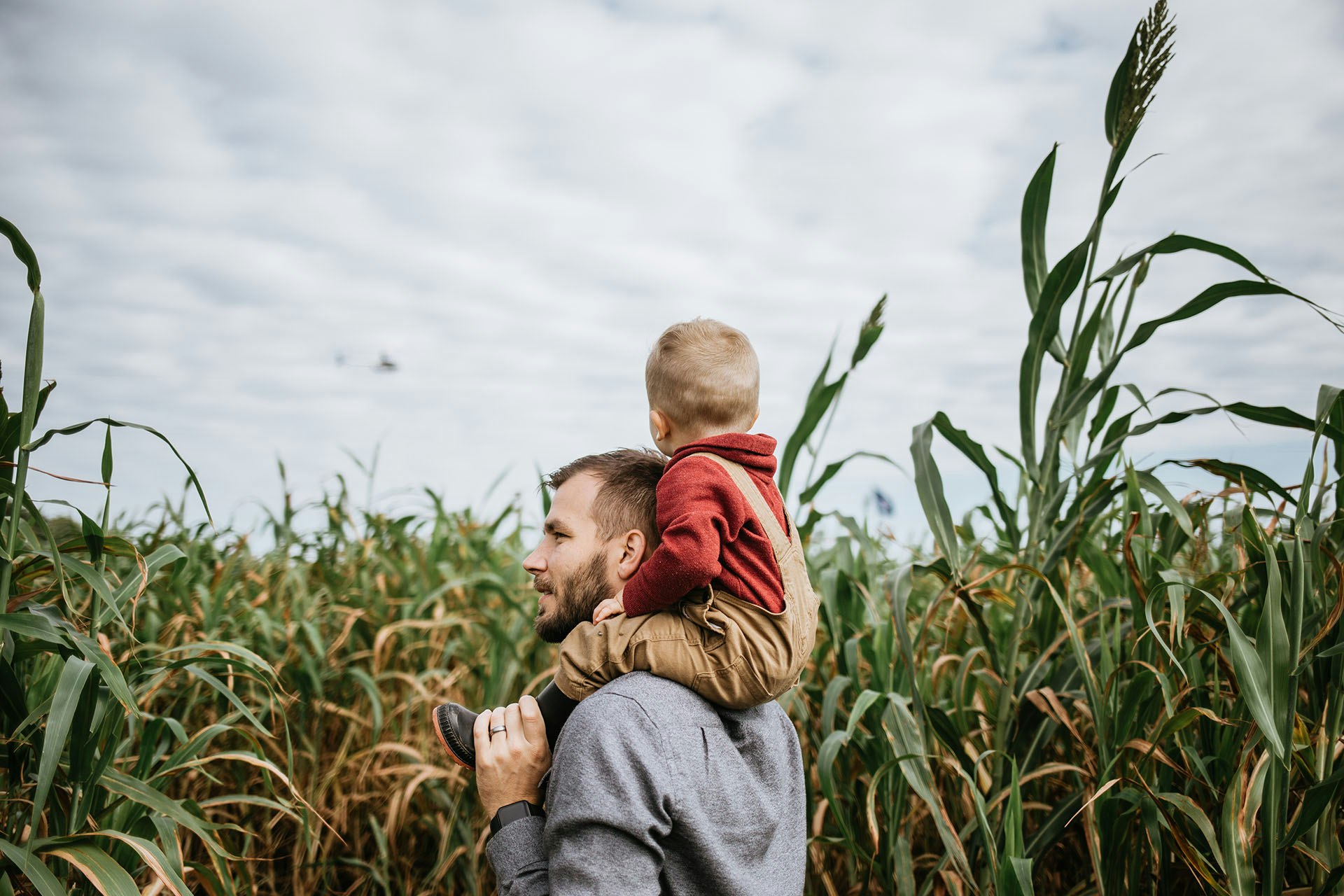 Father with Son On Shoulders in Corn Maze
