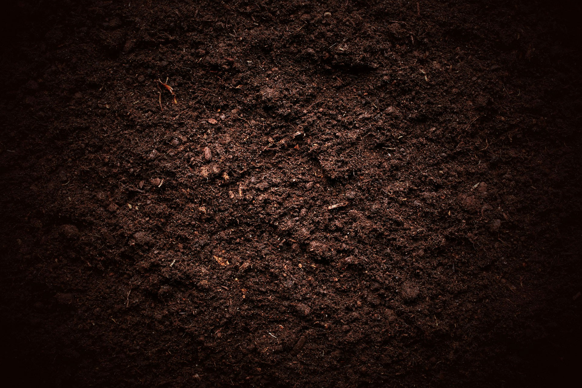 A picture of dirt