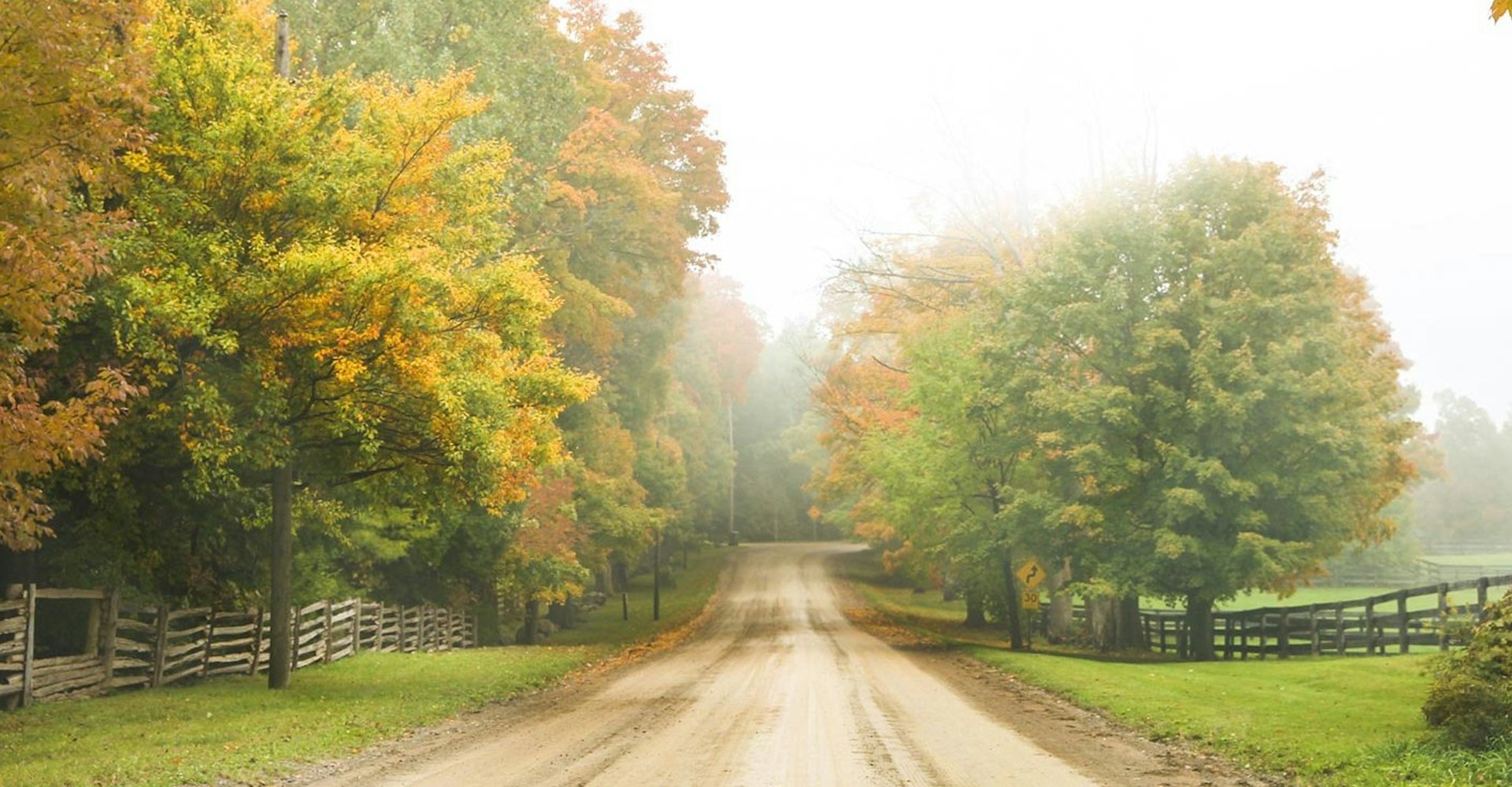 Misty Fall Road