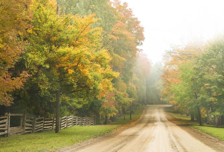 Misty Fall Road