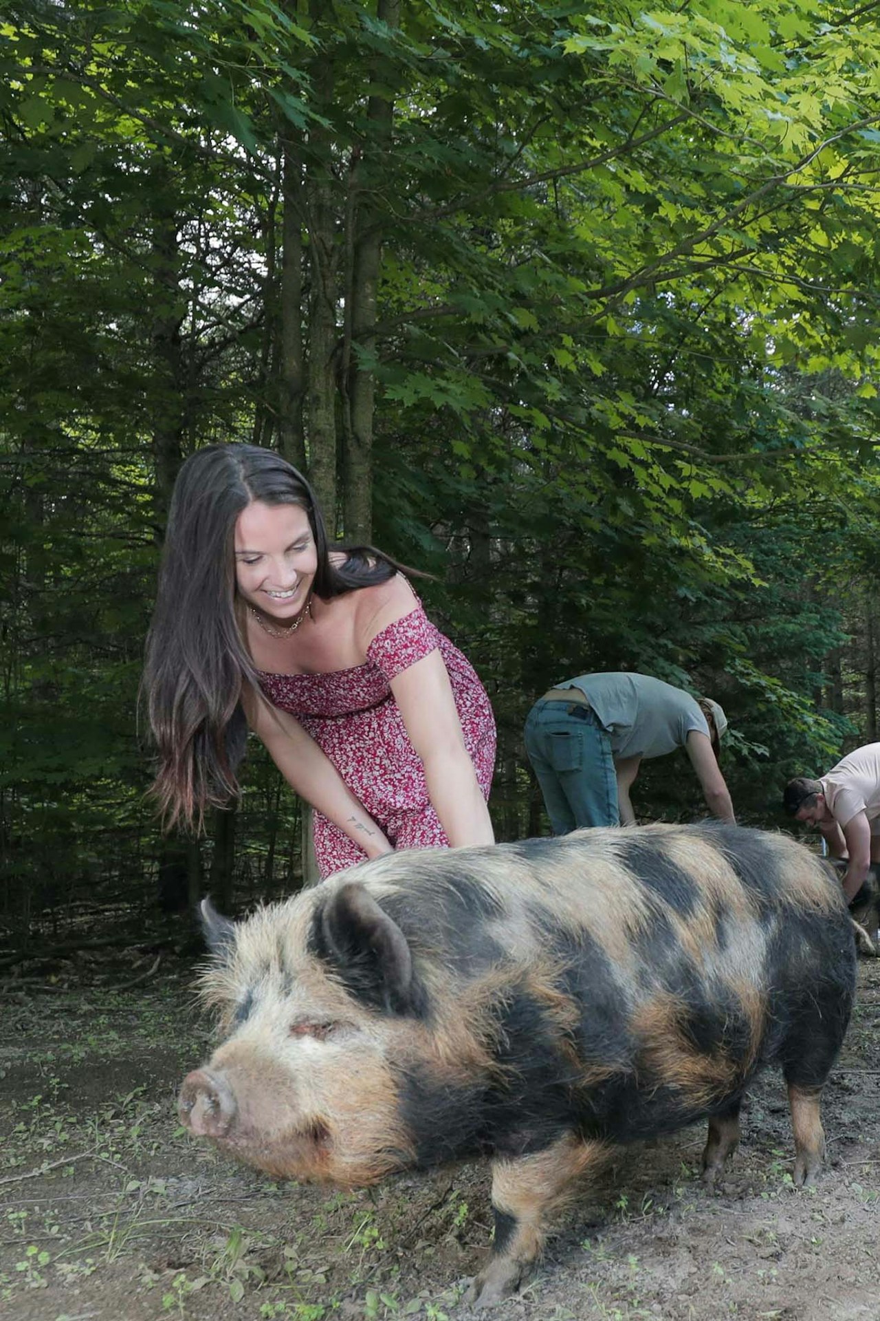 Girl and Pig